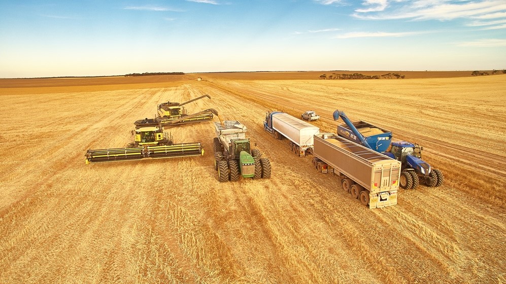 Grain Harvest